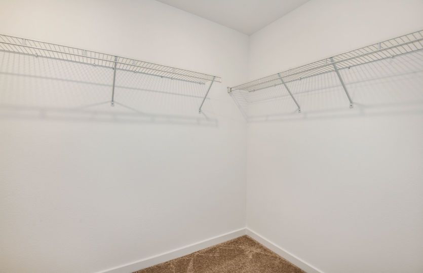 Owner's Walk-In Closet