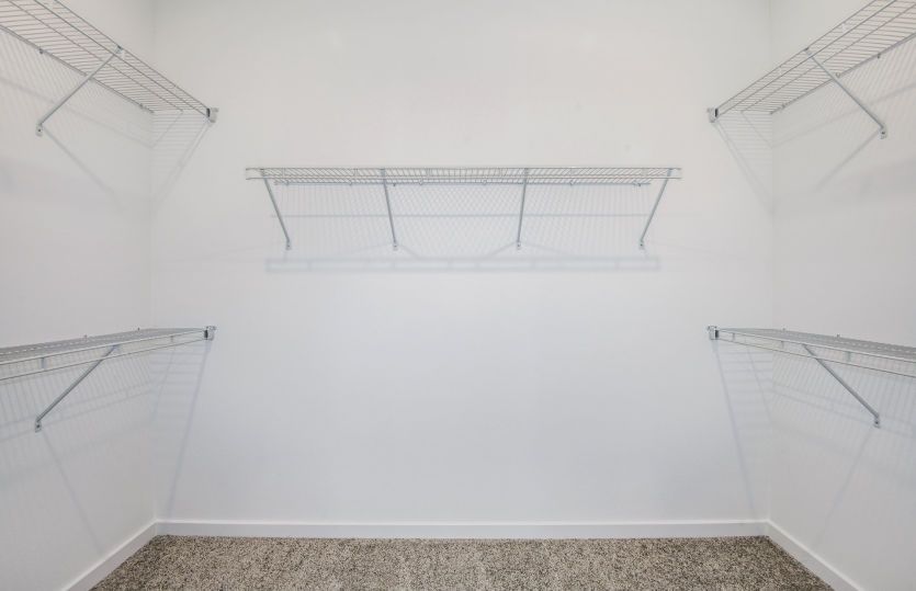 Model Representation