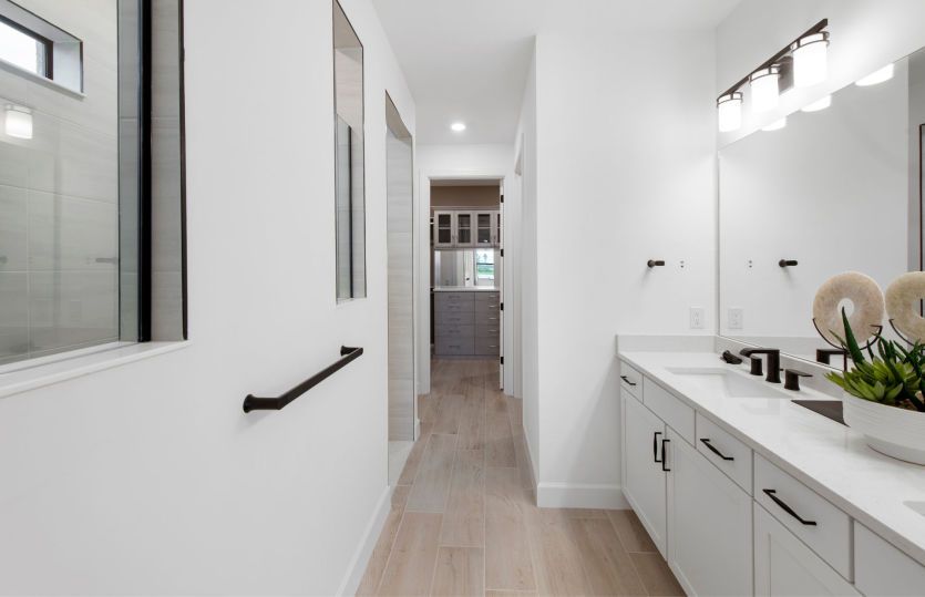 Luxurious owner's bath