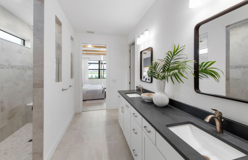 Owner's bath with walk-in shower