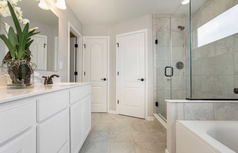 Mercer Owner's Bath