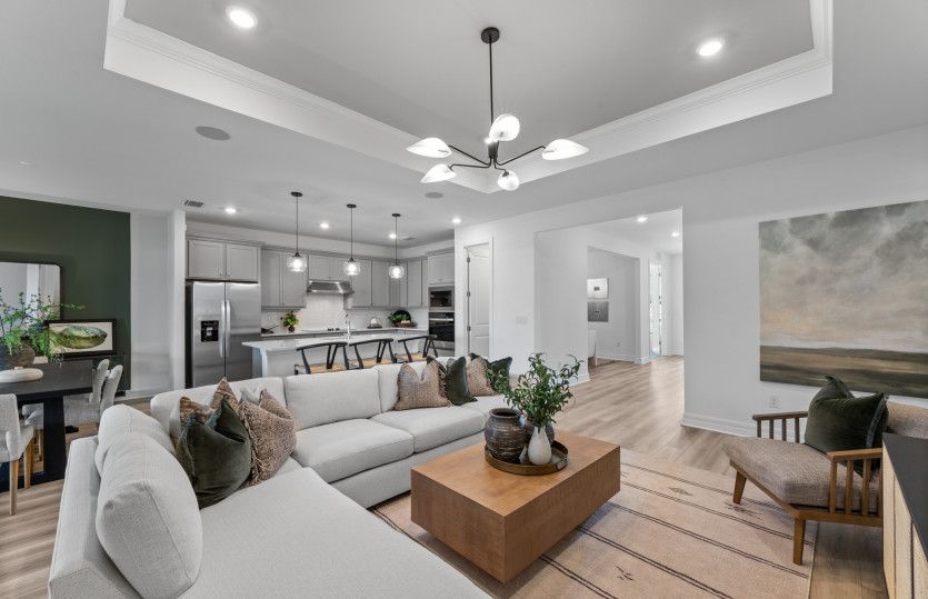 Gathering room with tray ceiling detail