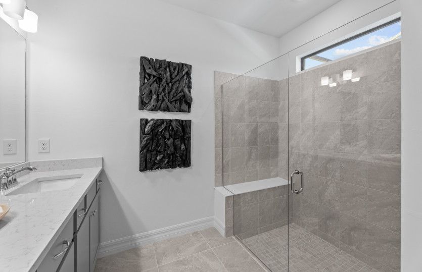 Large owner's bathroom