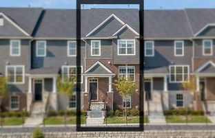 Sumter - Townes at Mill Street North: Plymouth, Michigan - Pulte Homes
