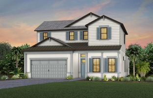 Brixton Grande - Caymas: Naples, Florida - Pulte Homes