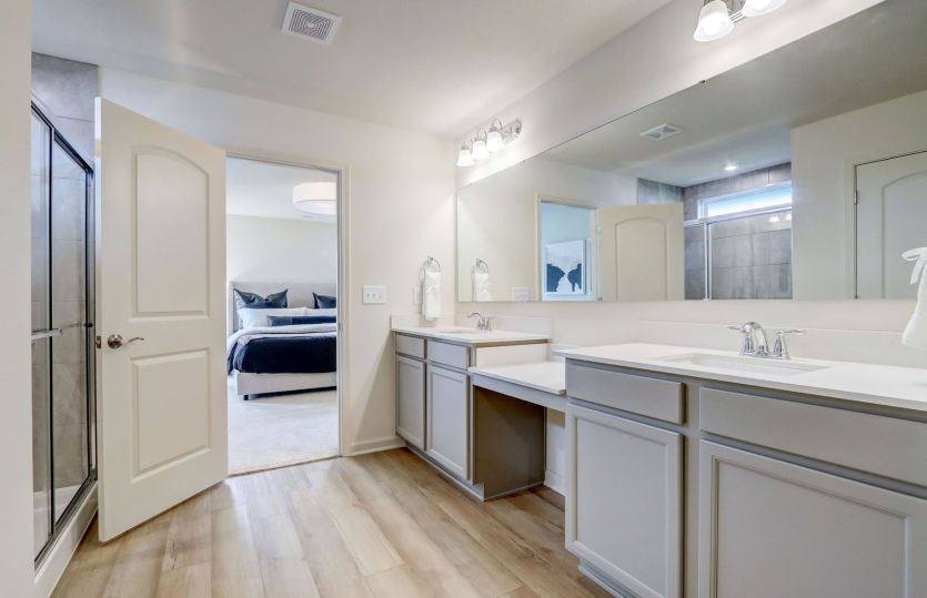 Owner's Bath