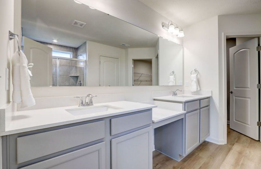 Owner's Bath