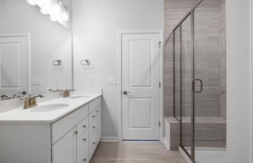 Owner's Bath with Step-in Shower