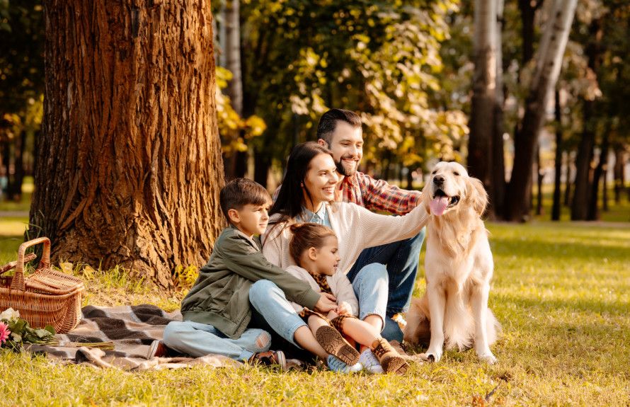 Family-Friendly Parks