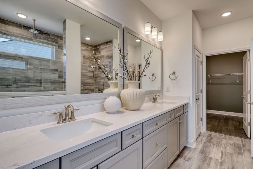 Owner's Bathroom, Model Representation