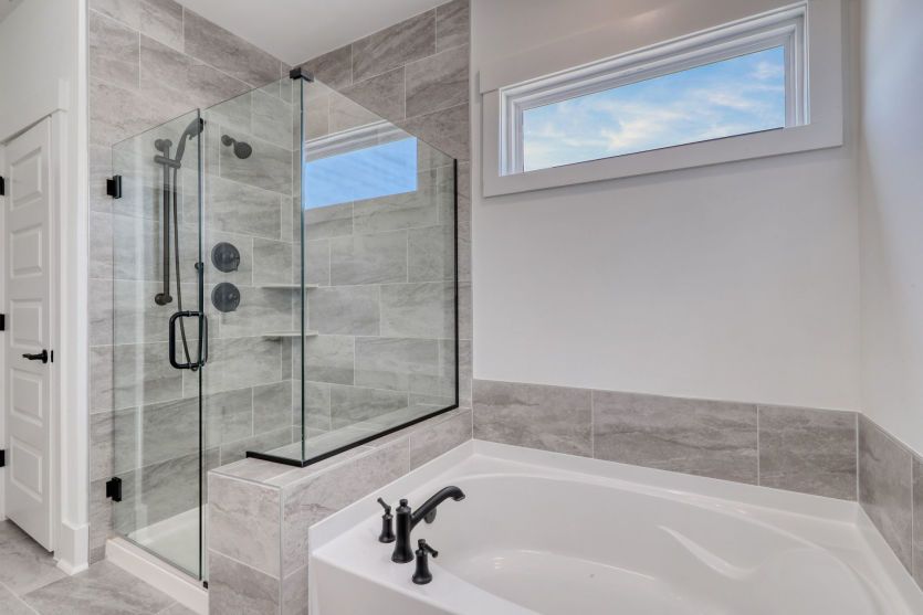 Owner's Bathroom, Model Representation