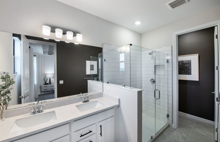 Owner's Bath