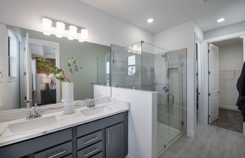 Owner's Suite Bath