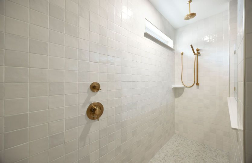 Primary Shower Detail