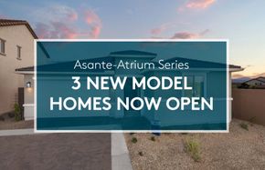 Asante- Atrium Series - Surprise, AZ