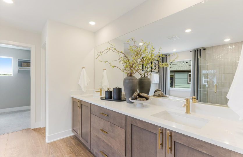 Owner's Suite Bathroom + Walk-in Closet