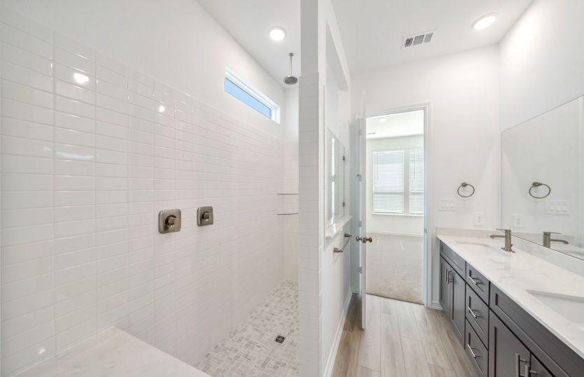 Owner's Bathroom