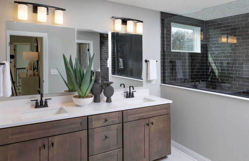 Owner's Bath