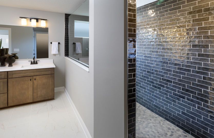 Owner's Bath