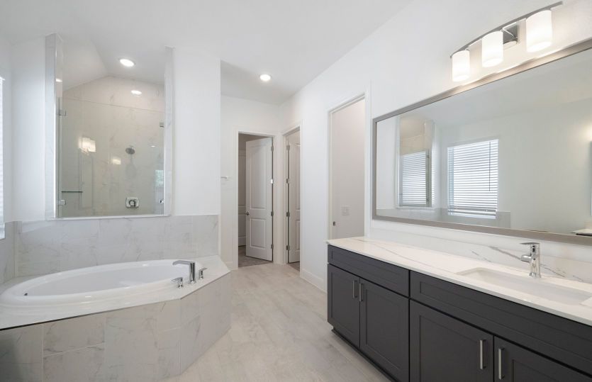 Owner's Bathroom