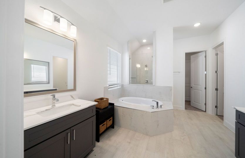 Owner's Bathroom