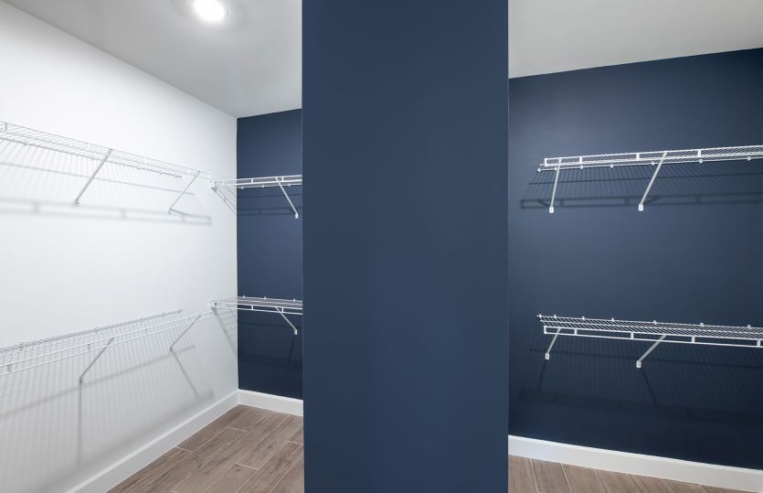 Owner's suite spacious walk-in closet
