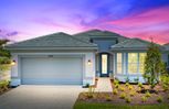 Legacy Groves - Nokomis, FL