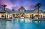 Vida's Way - Wesley Chapel, FL