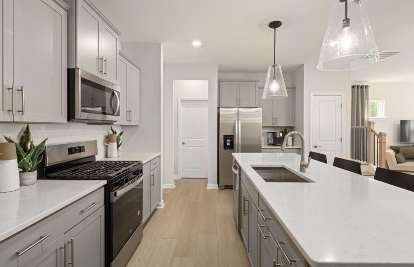 Stunning Kitchen where you can Cook your Favorite Dishes - Model Representation