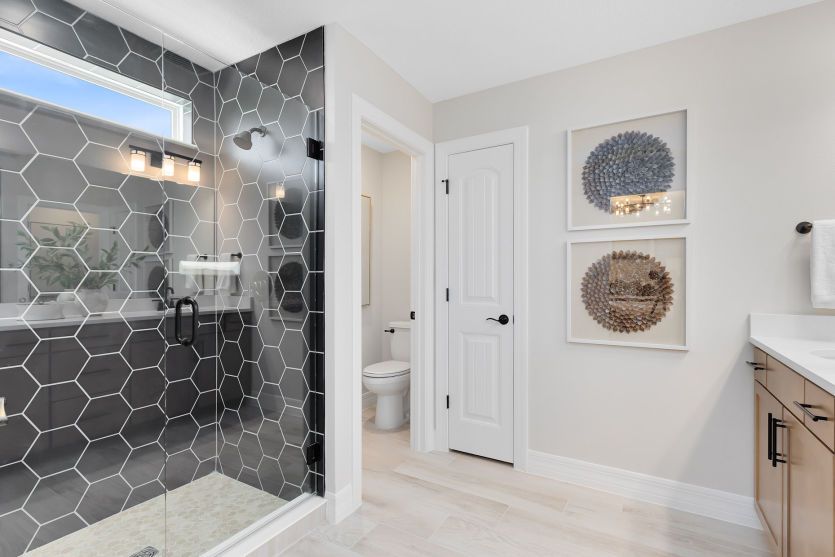 Owner's Bath