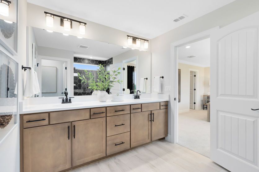 Owner's Bath