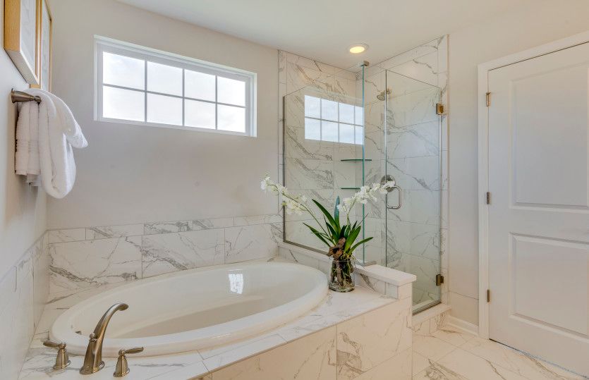 Separate Tub/Shower in Owner's Bath