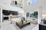 Winter Grove - Winter Garden, FL