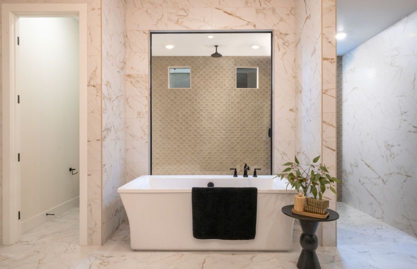 Owner's Bathroom