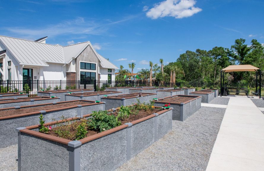 Vida's Bloom Community Garden