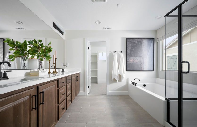 Owner's Bathroom
