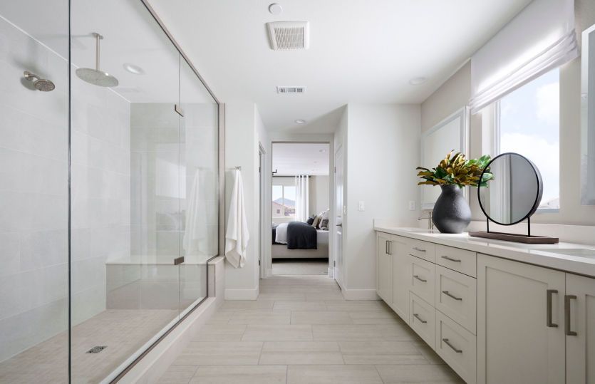 Owner's Bathroom