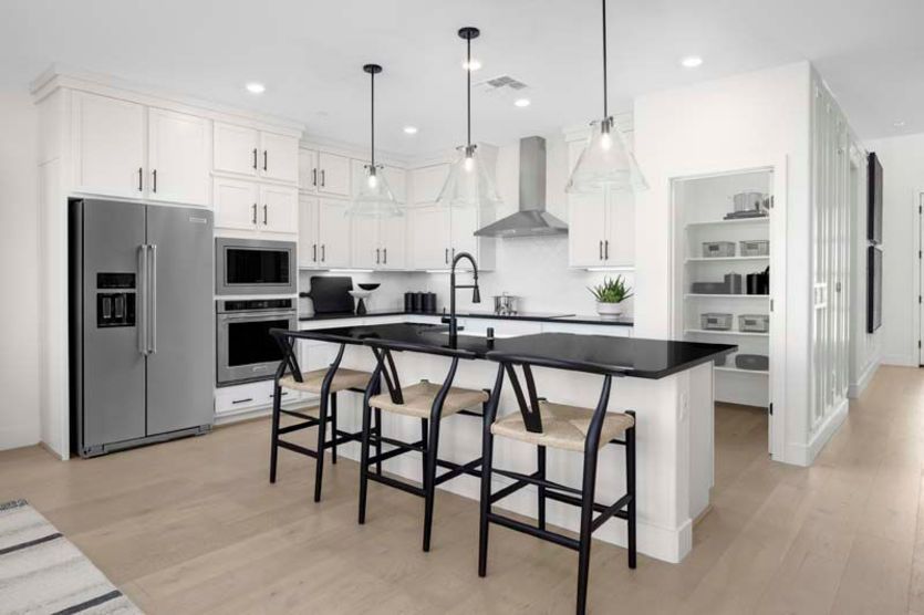 Kitchen with chef's appliance package