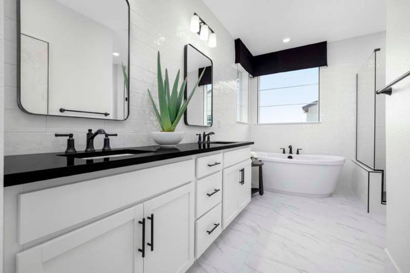 Owner's suite bath with freestanding tub