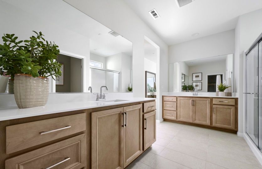 Owner's Bathroom