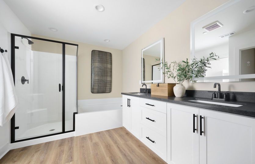 Owner's Bathroom