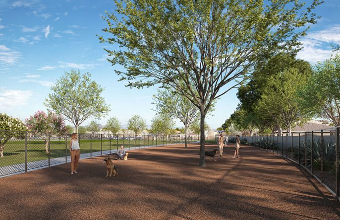 Dog Park