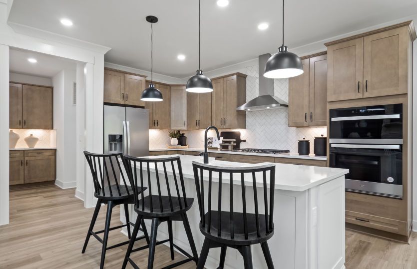 Gourmet Built-In kitchen