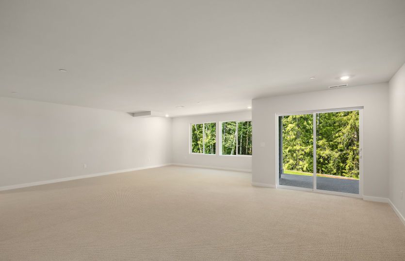 Daylight Basement