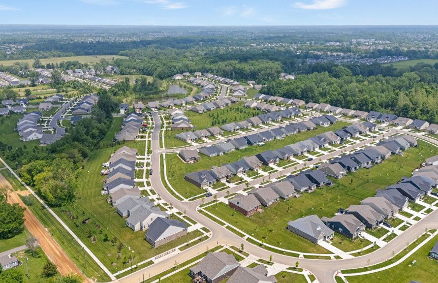 Stunning Nature Views