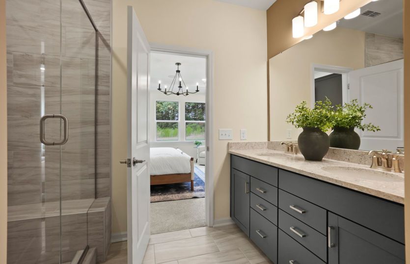 Owner's Bathroom