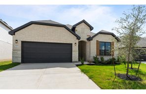 11435 Buffalo Bill (Mooreville)