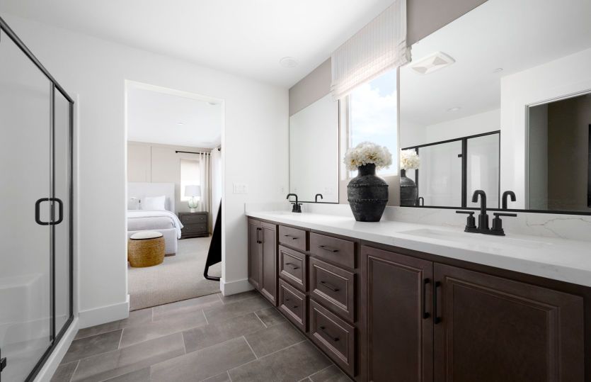 Owner's Bathroom