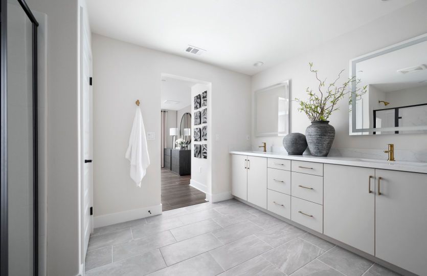 Owner's Bathroom