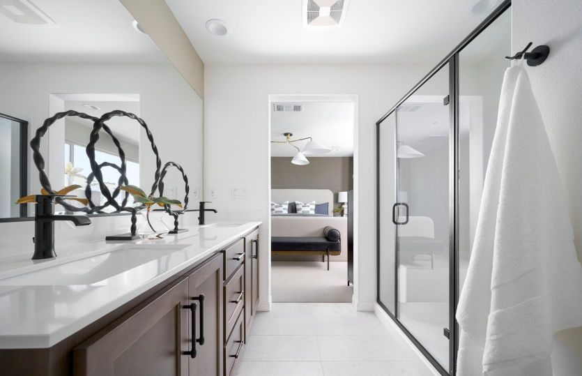 Owner's Bathroom